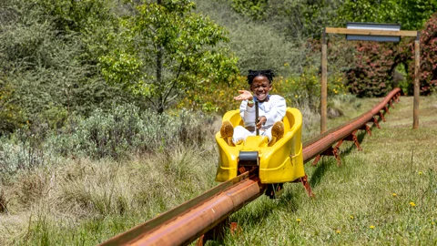 Long Tom Toboggan | Misty Mountain