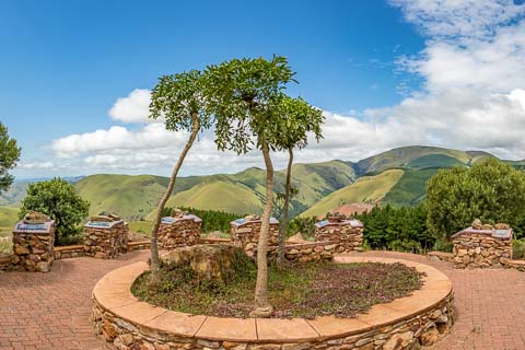 © The Guys - Professional Photographers & Designers - www.theguys.co.za